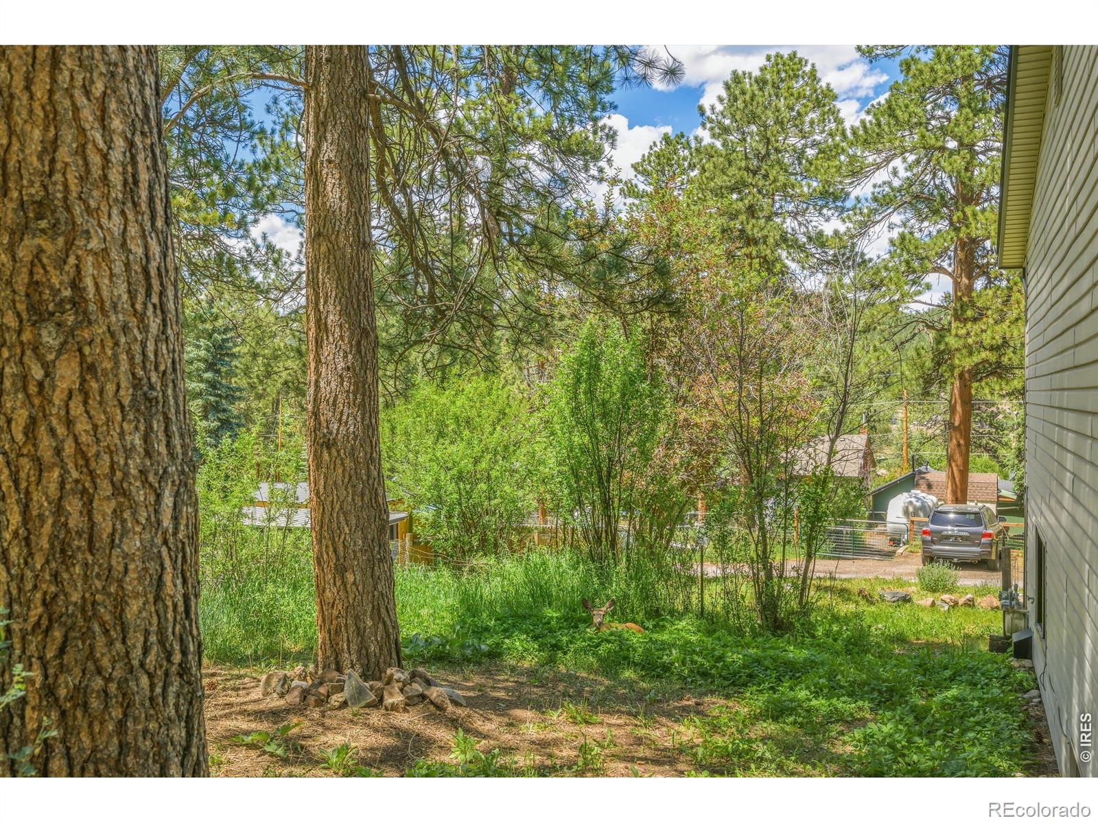 MLS Image #35 for 26360  mowbray court,kittredge, Colorado