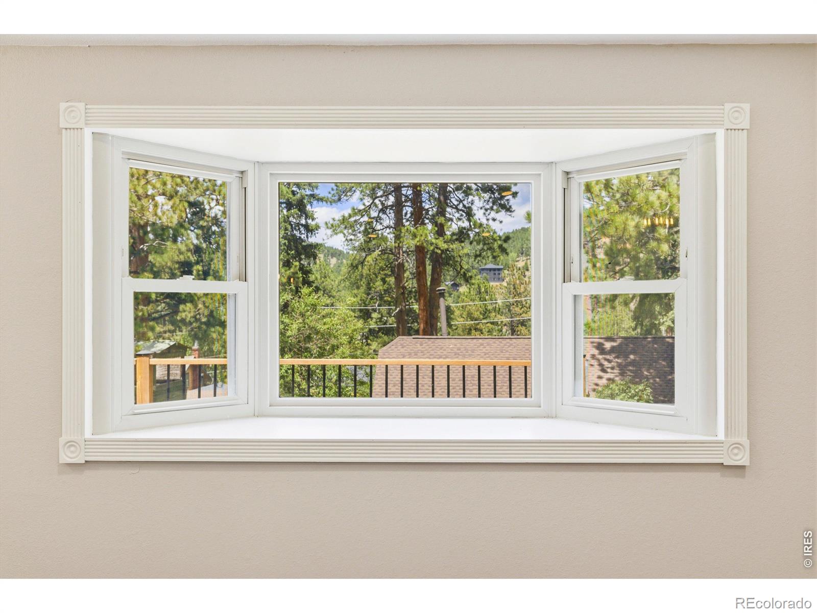 MLS Image #6 for 26360  mowbray court,kittredge, Colorado