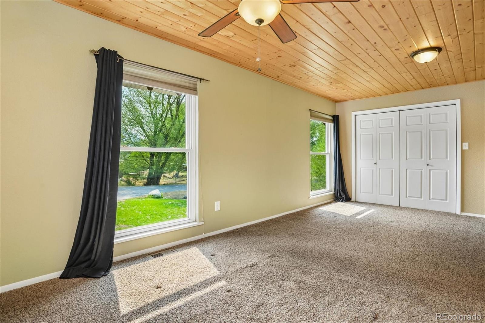 MLS Image #20 for 250  james street,buena vista, Colorado