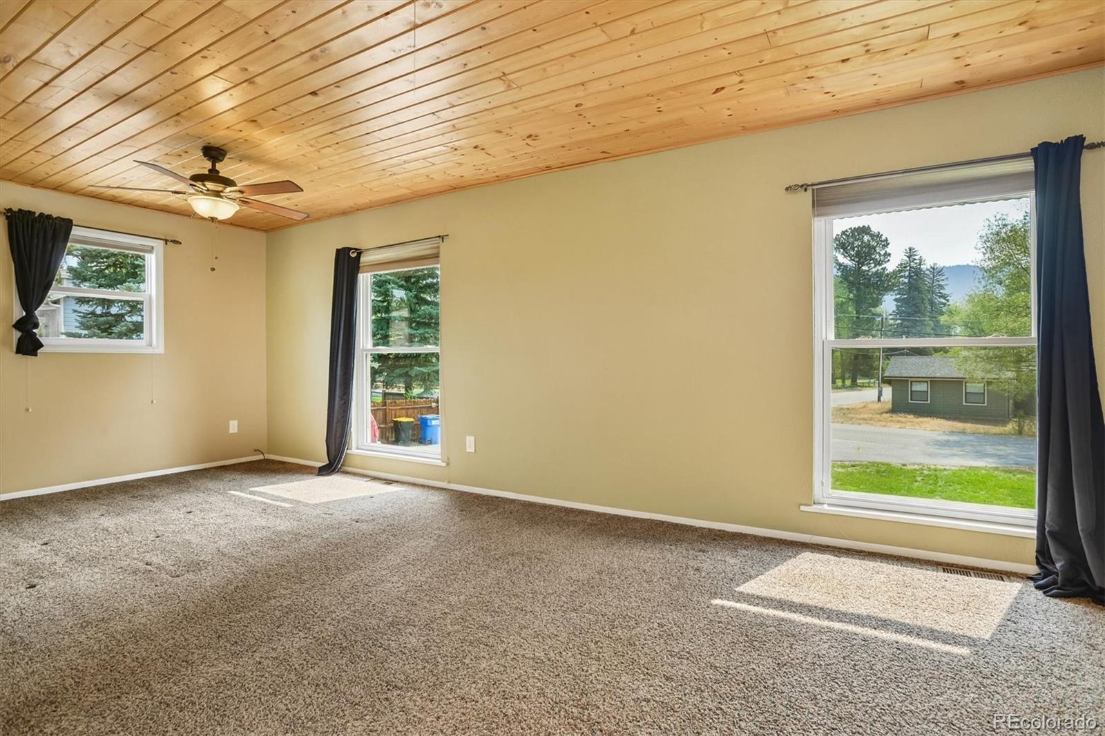 MLS Image #21 for 250  james street,buena vista, Colorado