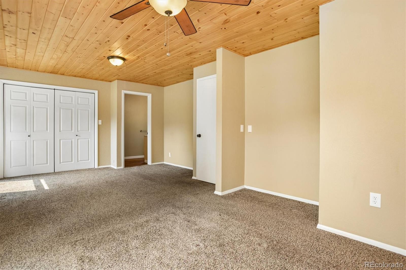 MLS Image #22 for 250  james street,buena vista, Colorado