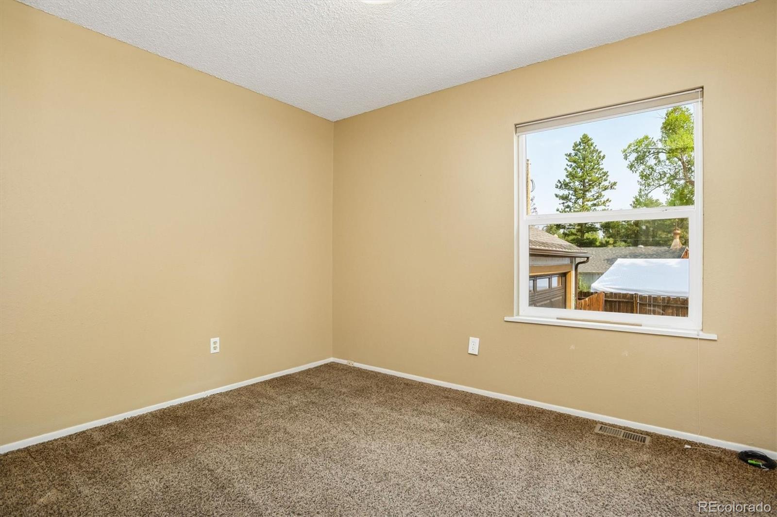 MLS Image #24 for 250  james street,buena vista, Colorado