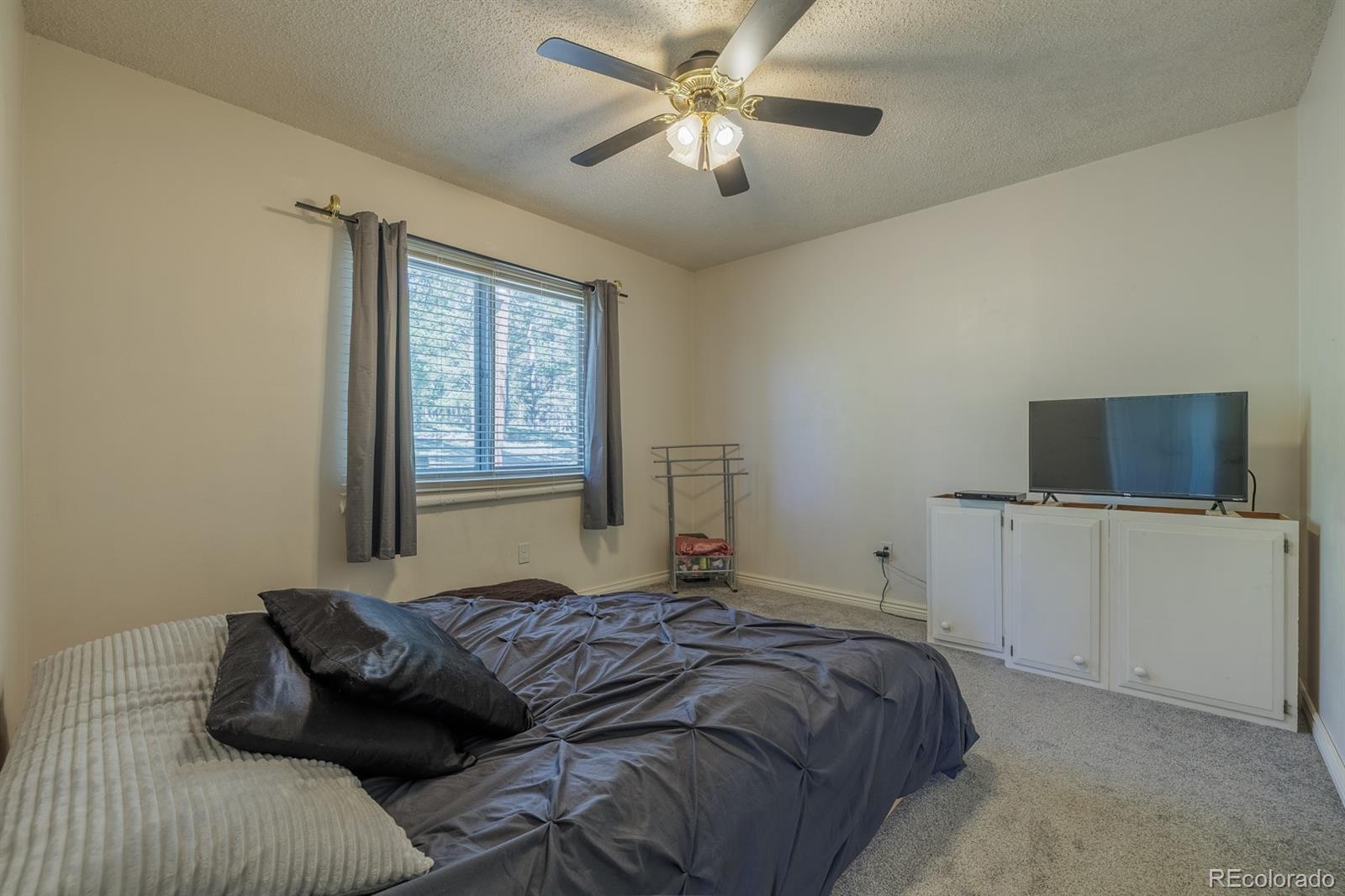 MLS Image #10 for 419 w lake drive,divide, Colorado