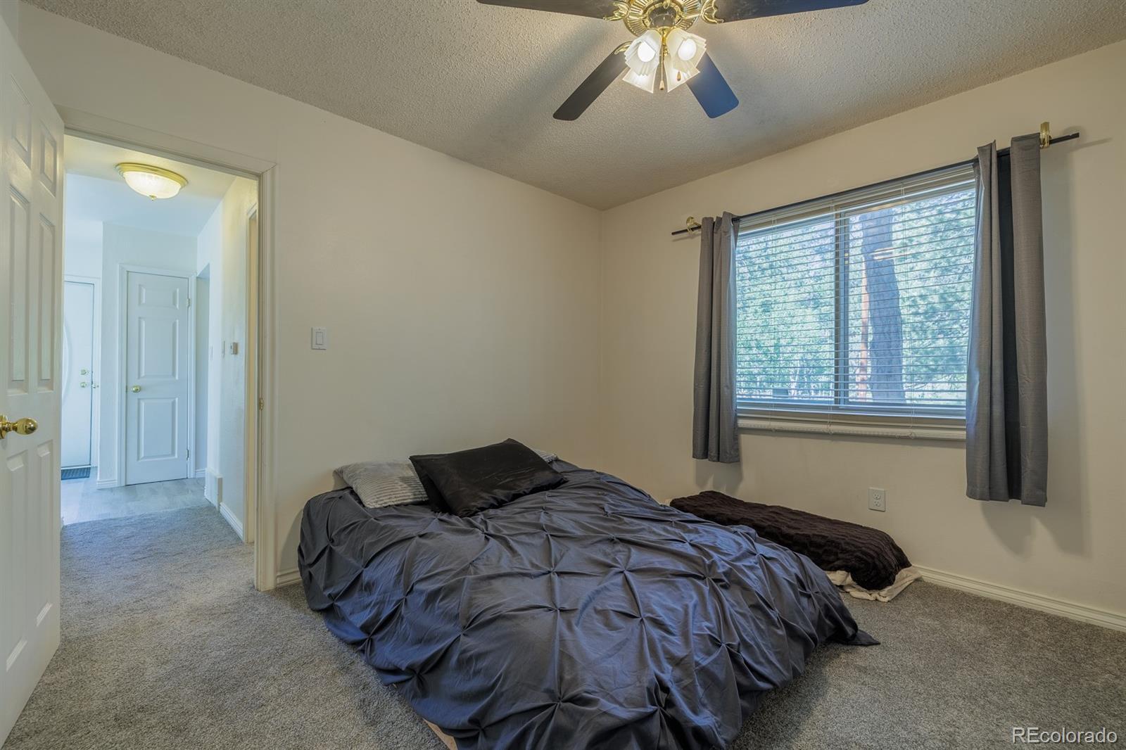 MLS Image #11 for 419 w lake drive,divide, Colorado