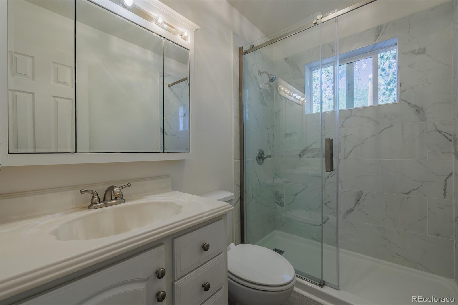 MLS Image #12 for 419 w lake drive,divide, Colorado