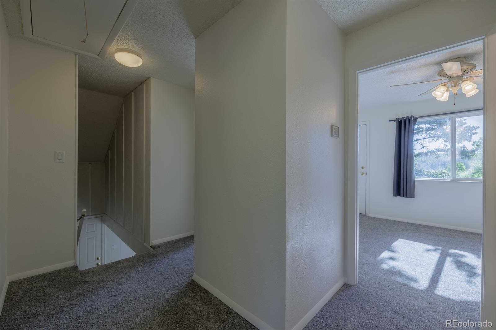 MLS Image #15 for 419 w lake drive,divide, Colorado