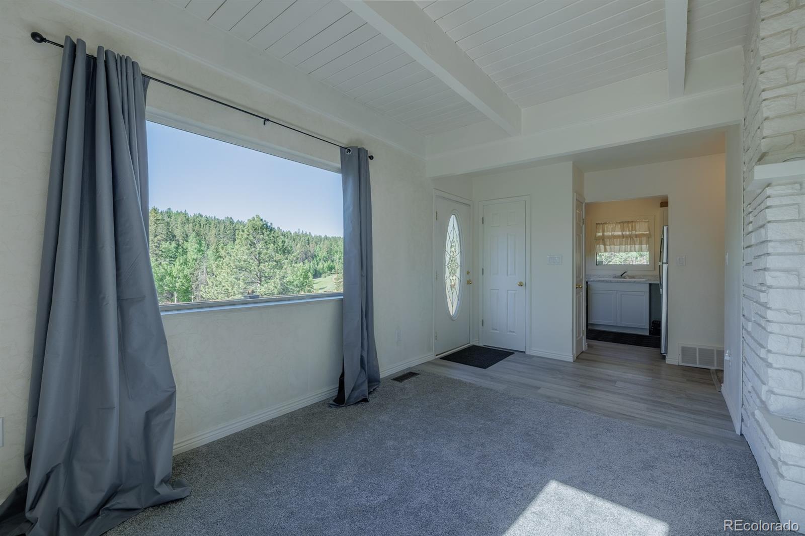 MLS Image #4 for 419 w lake drive,divide, Colorado