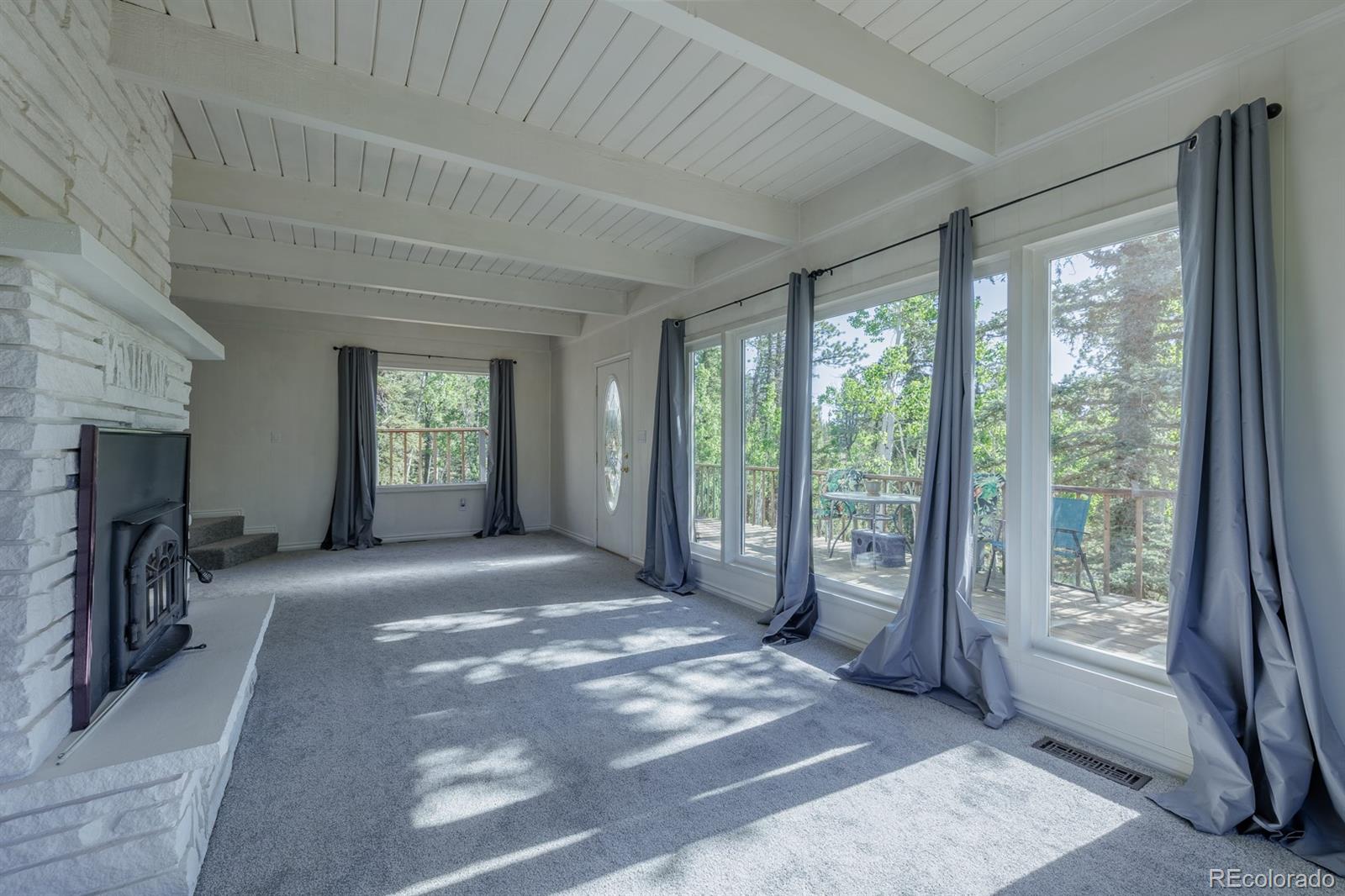 MLS Image #5 for 419 w lake drive,divide, Colorado
