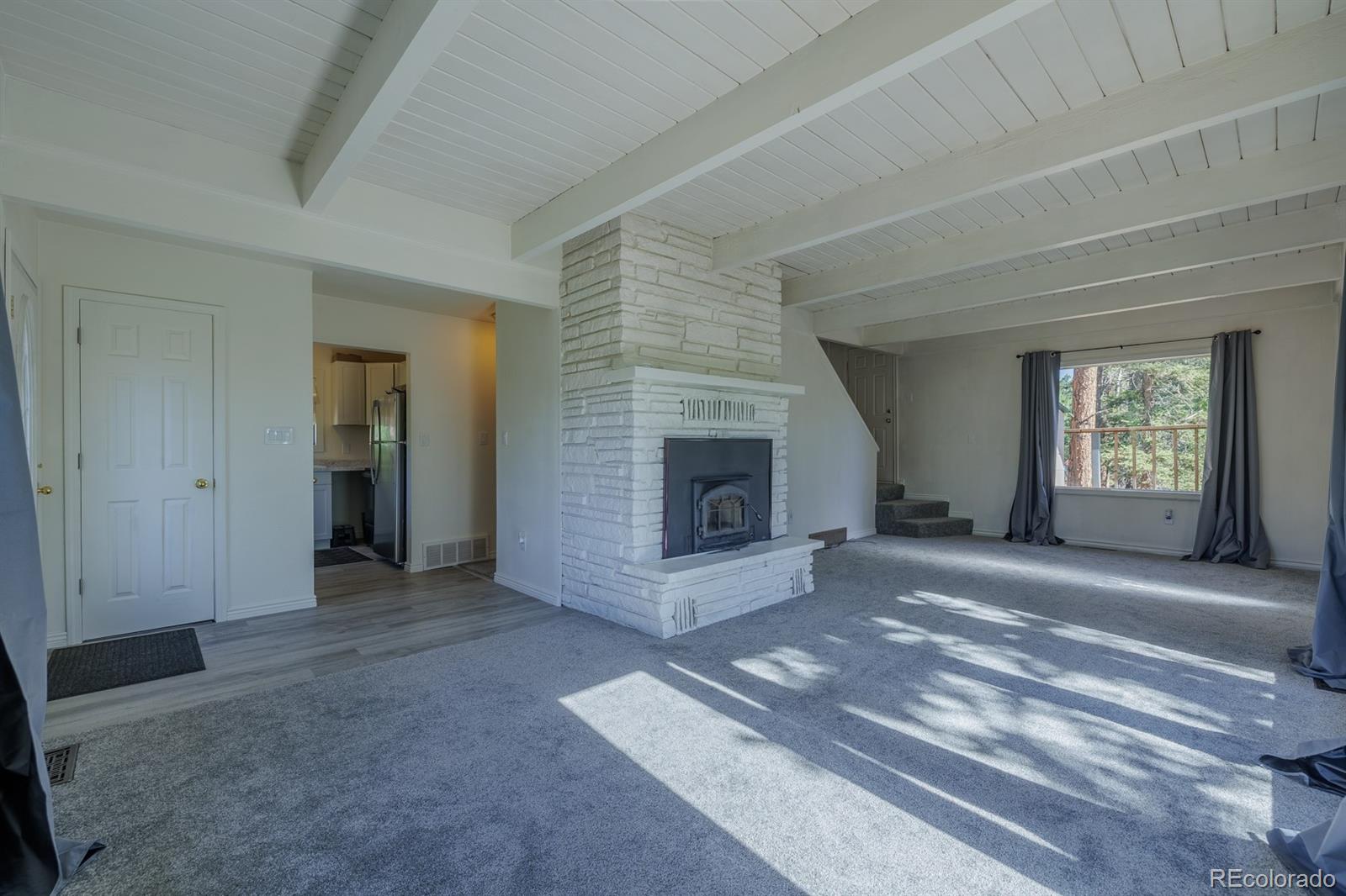 MLS Image #6 for 419 w lake drive,divide, Colorado