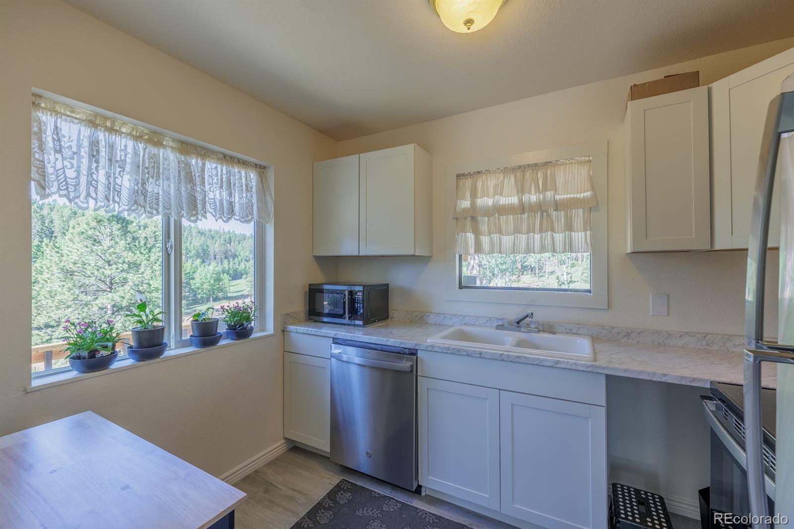 MLS Image #7 for 419 w lake drive,divide, Colorado