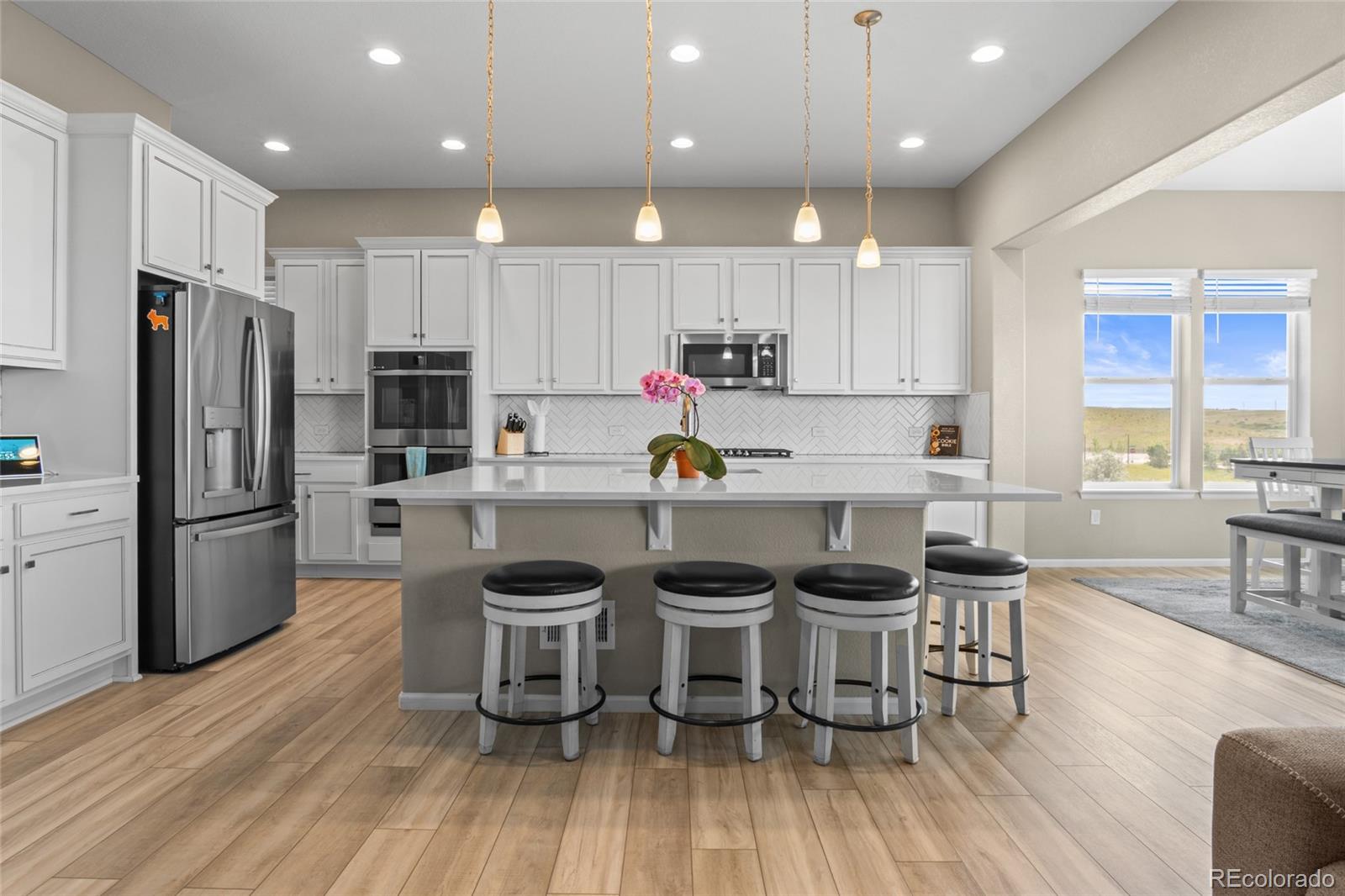MLS Image #15 for 13009  bridge view lane,parker, Colorado