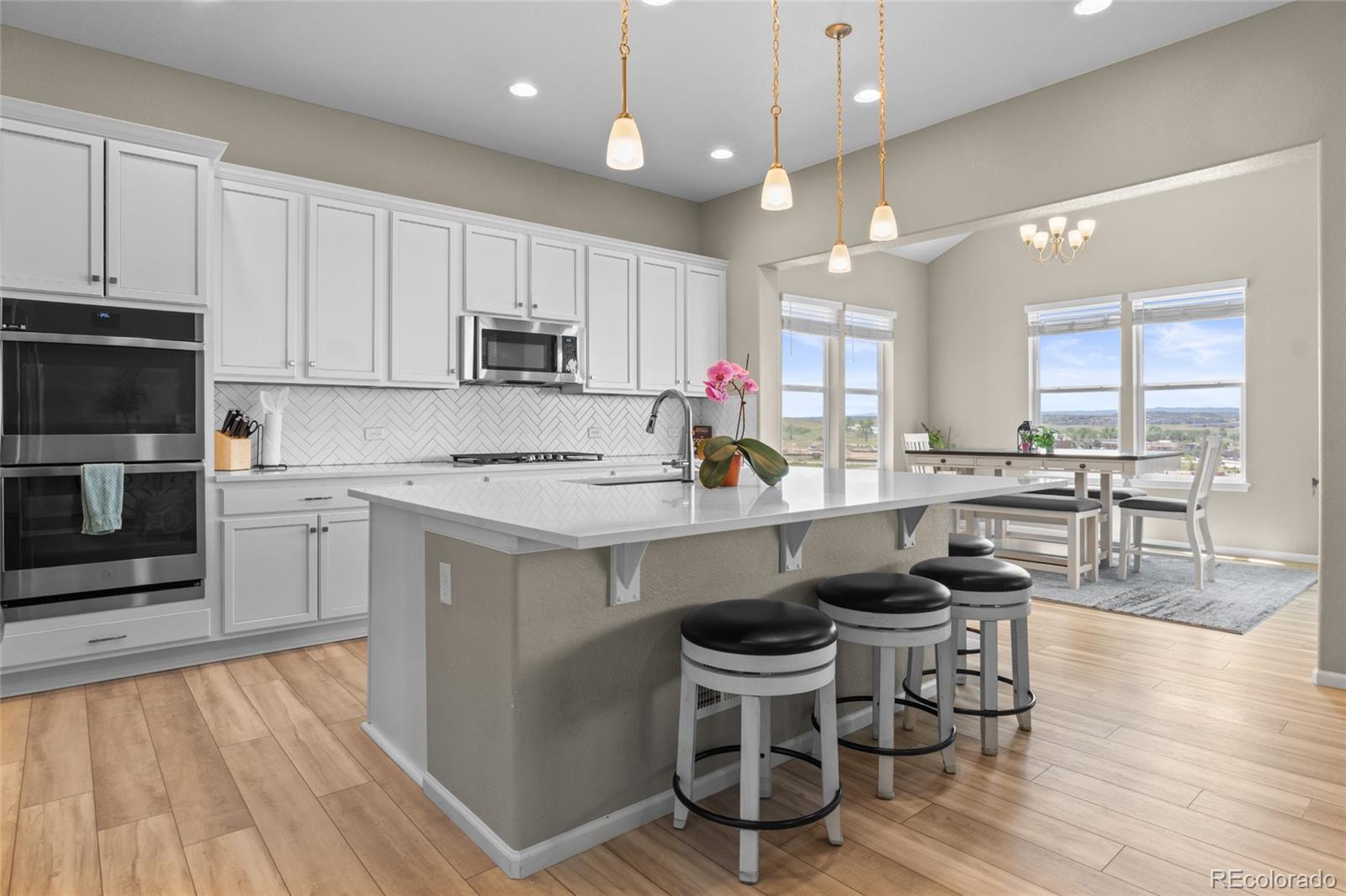 MLS Image #16 for 13009  bridge view lane,parker, Colorado