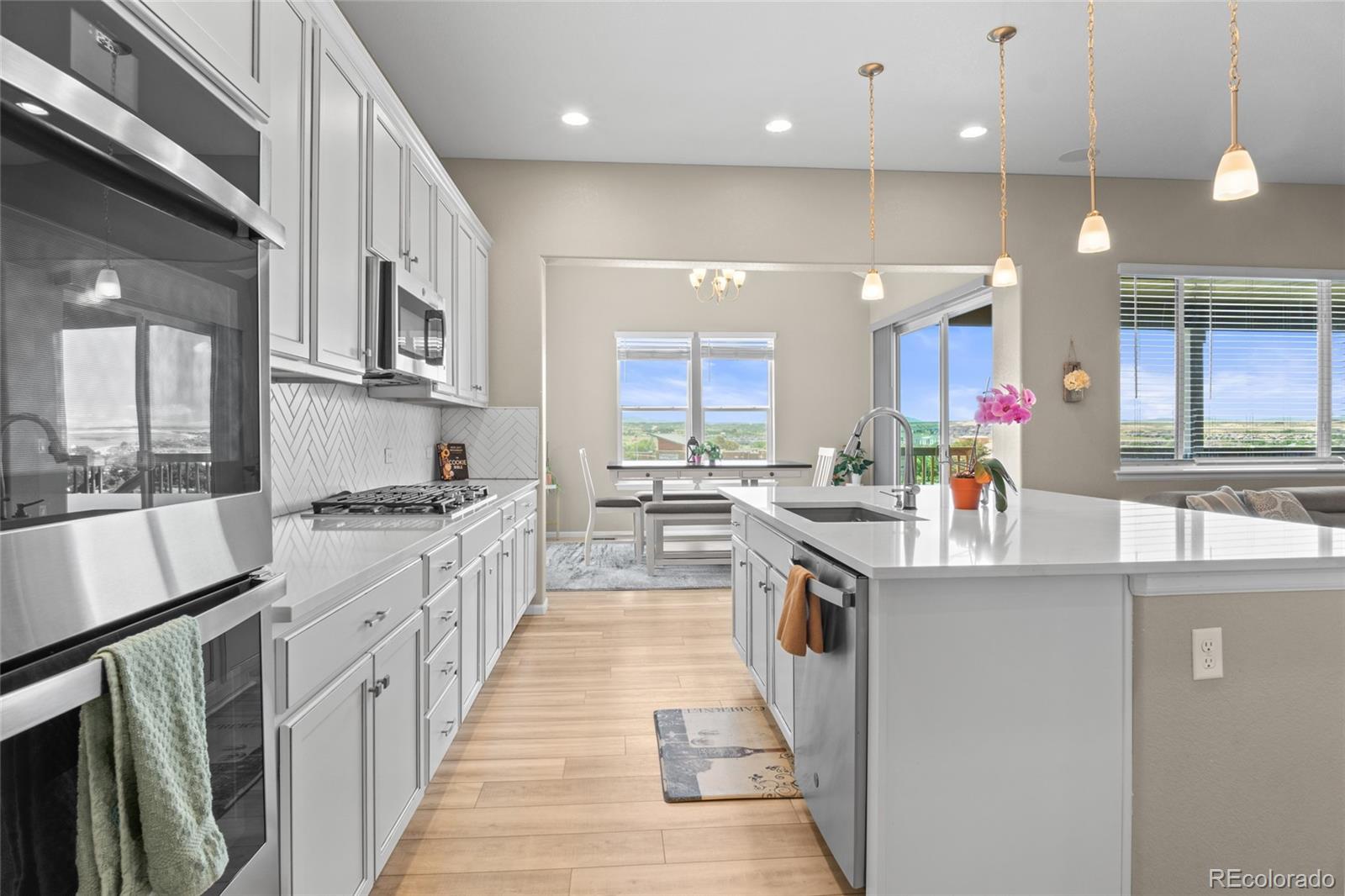 MLS Image #18 for 13009  bridge view lane,parker, Colorado