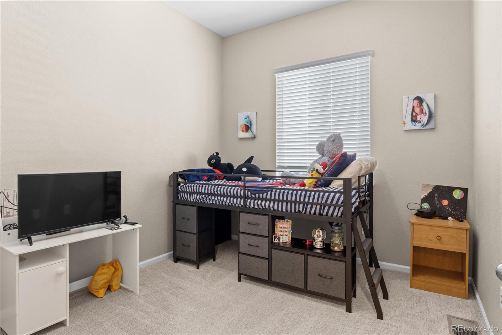 MLS Image #23 for 13009  bridge view lane,parker, Colorado