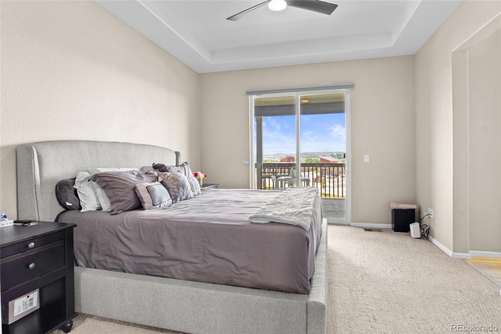MLS Image #24 for 13009  bridge view lane,parker, Colorado