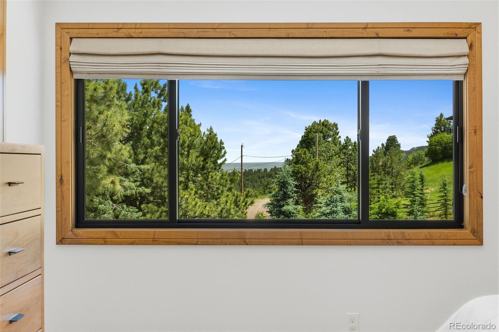 MLS Image #19 for 22133  crestmoor road,golden, Colorado