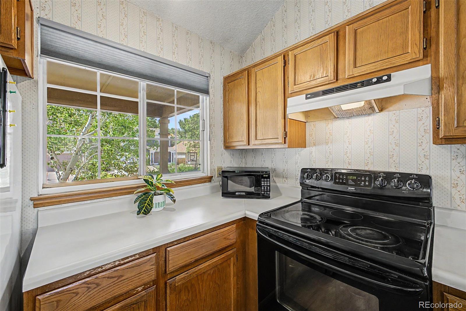 MLS Image #12 for 450  chelan street,golden, Colorado
