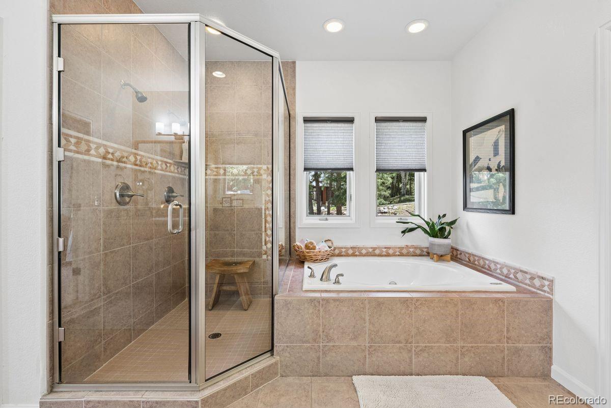 MLS Image #20 for 1544  steamboat court,evergreen, Colorado