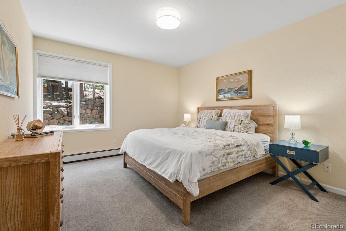 MLS Image #39 for 1544  steamboat court,evergreen, Colorado