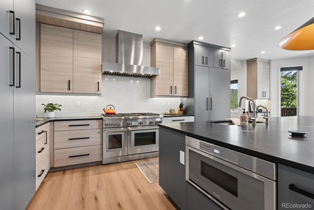 MLS Image #9 for 1544  steamboat court,evergreen, Colorado