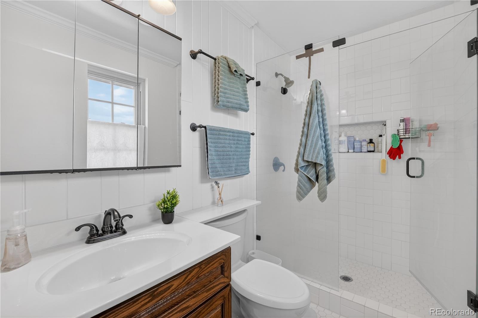 MLS Image #14 for 10773 w marlowe place,littleton, Colorado