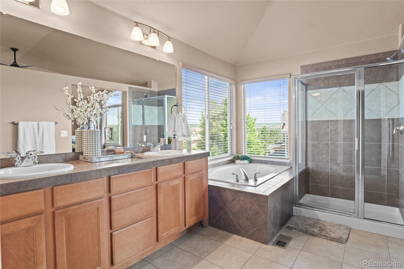 MLS Image #19 for 17888  coral burst street,parker, Colorado