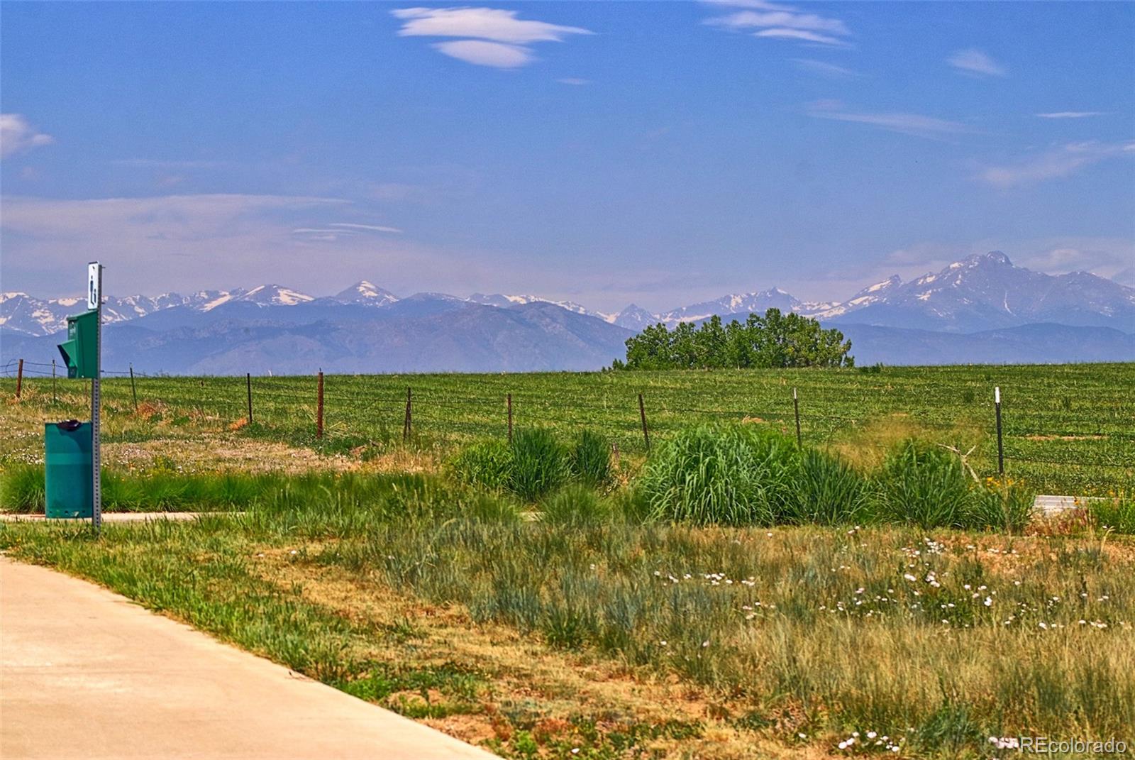 MLS Image #4 for 201  maddox lane,erie, Colorado