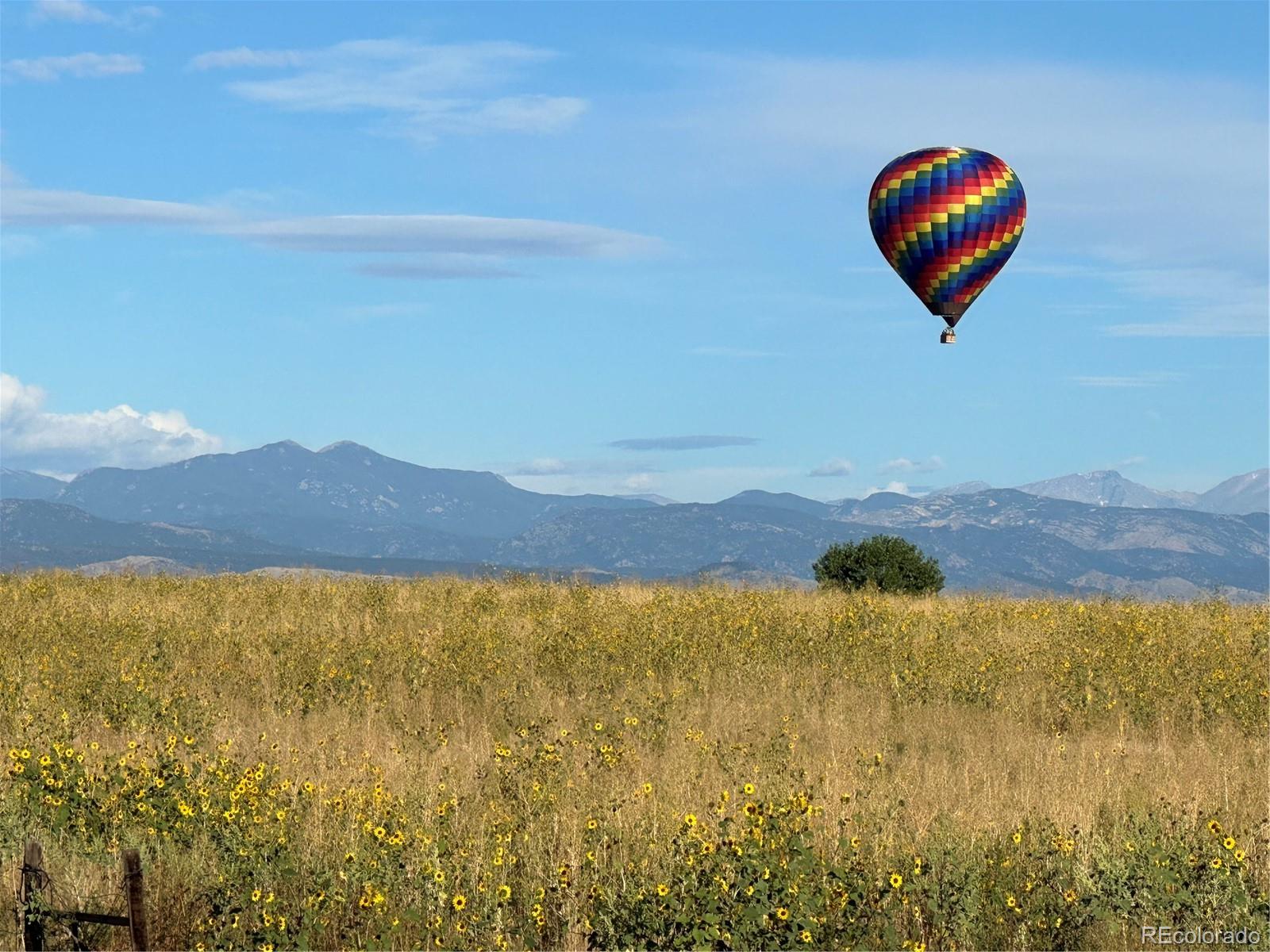 MLS Image #42 for 201  maddox lane,erie, Colorado