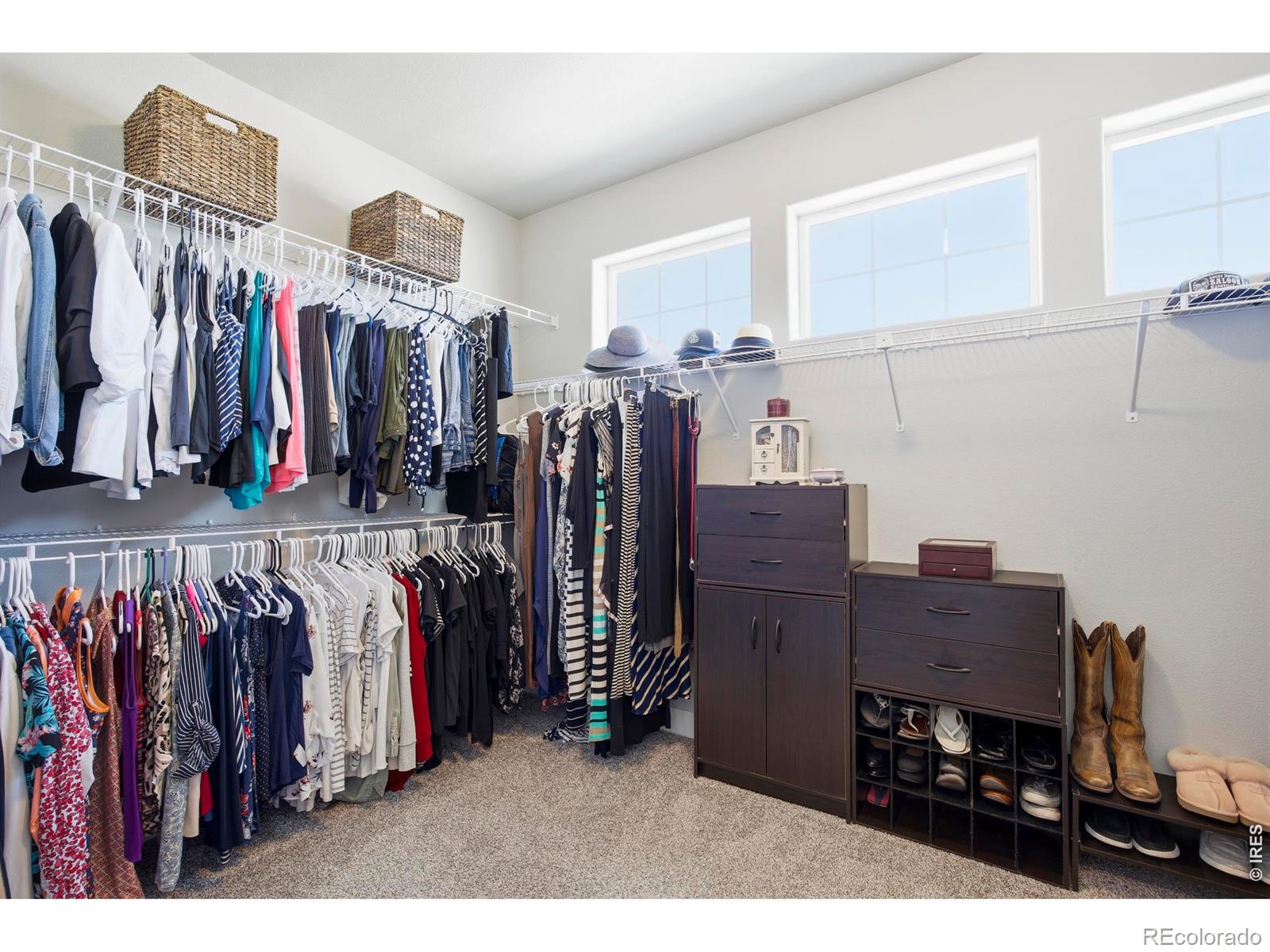 MLS Image #22 for 1411  coues deer drive,severance, Colorado