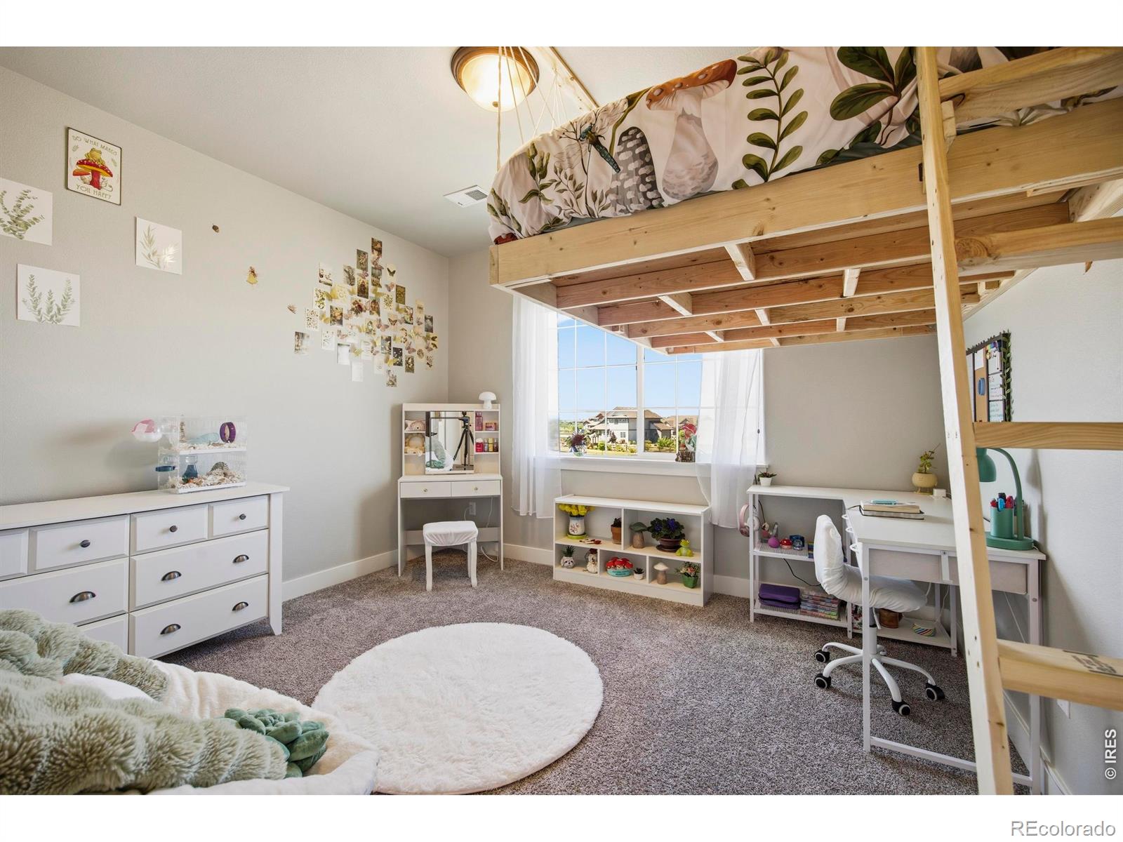 MLS Image #25 for 1411  coues deer drive,severance, Colorado