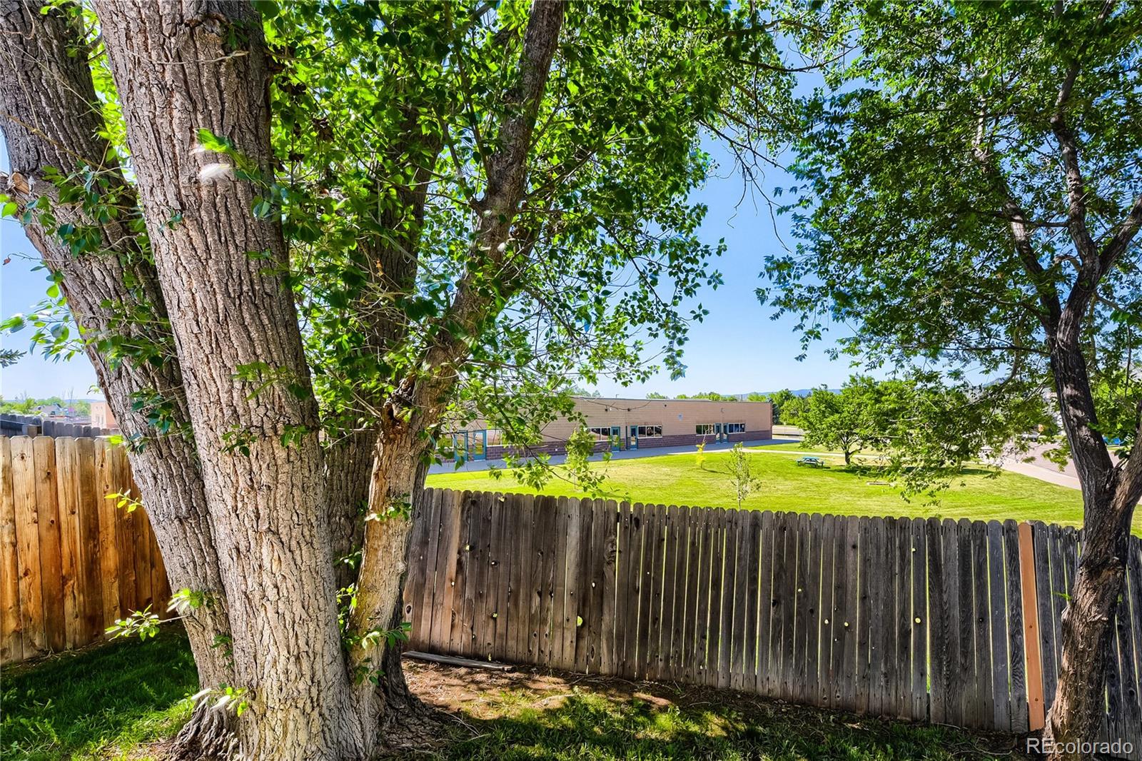 MLS Image #42 for 9876 w friend place,littleton, Colorado