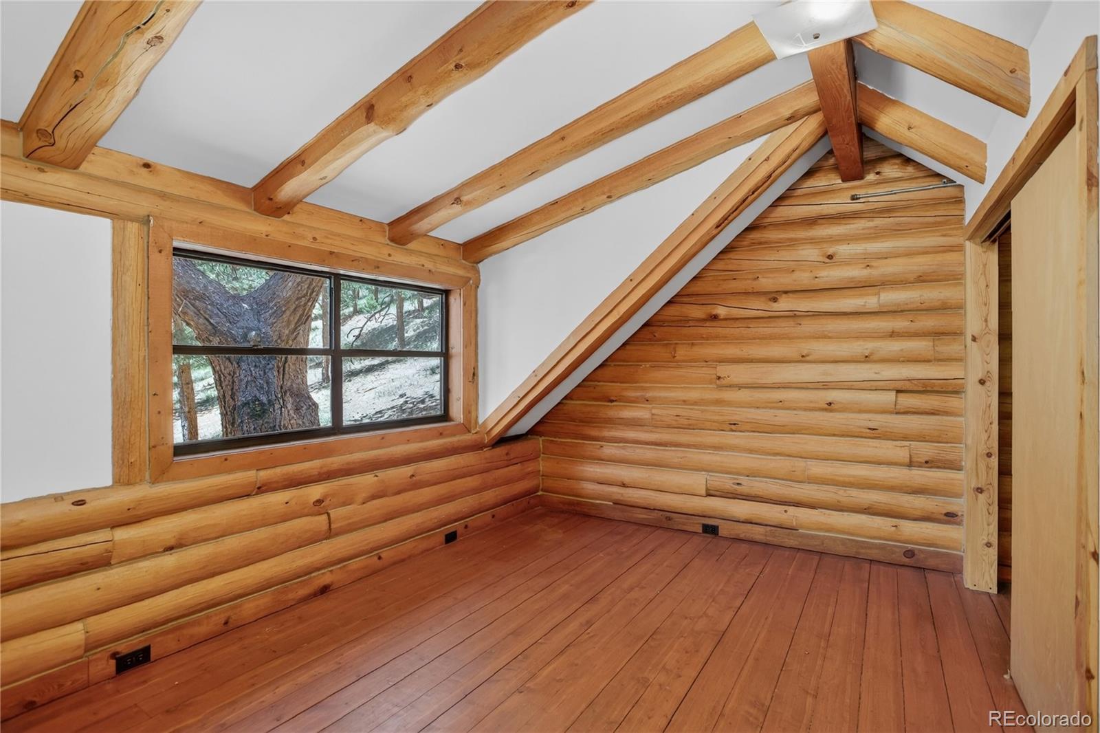 MLS Image #11 for 27723  pine valley drive,evergreen, Colorado
