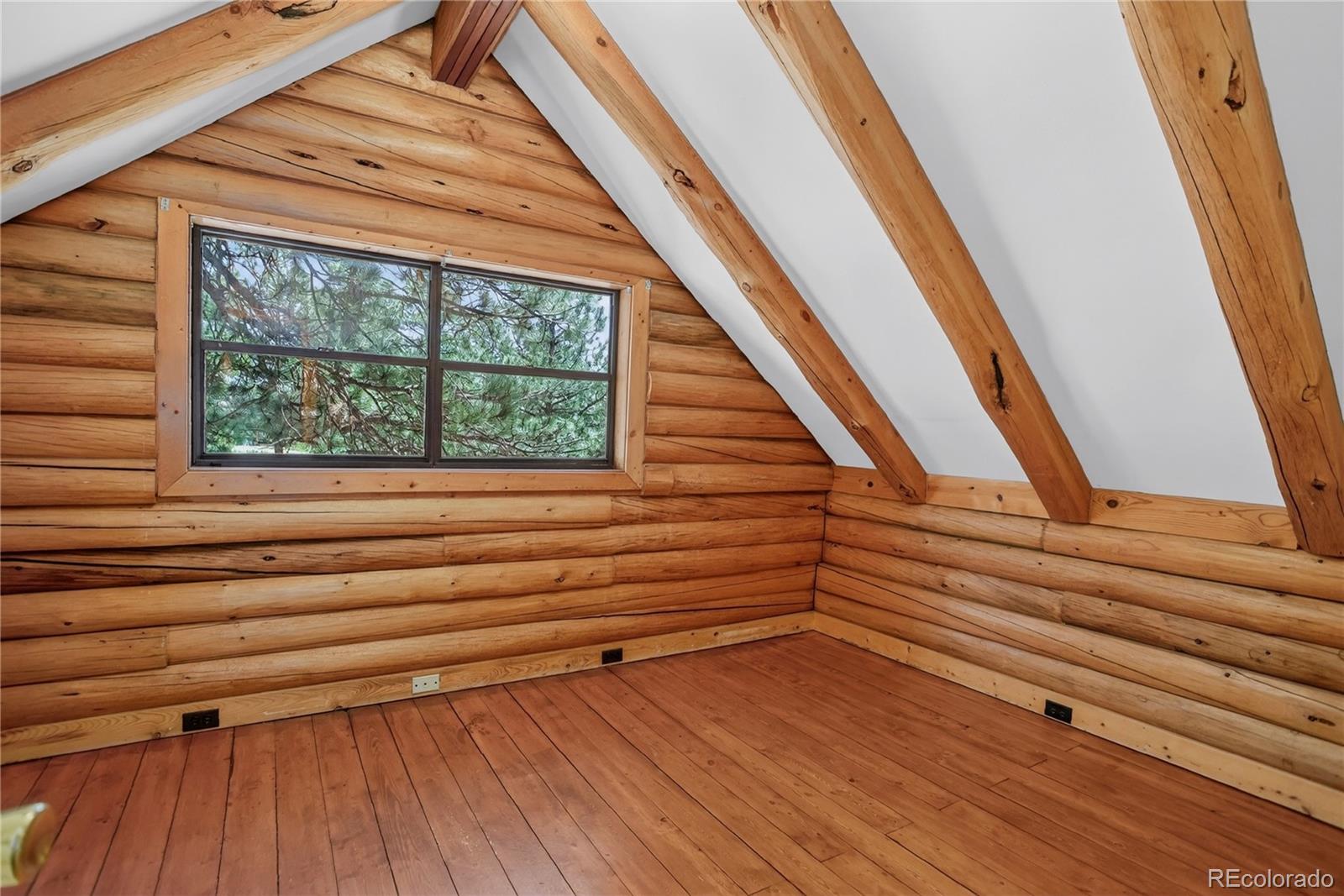 MLS Image #13 for 27723  pine valley drive,evergreen, Colorado