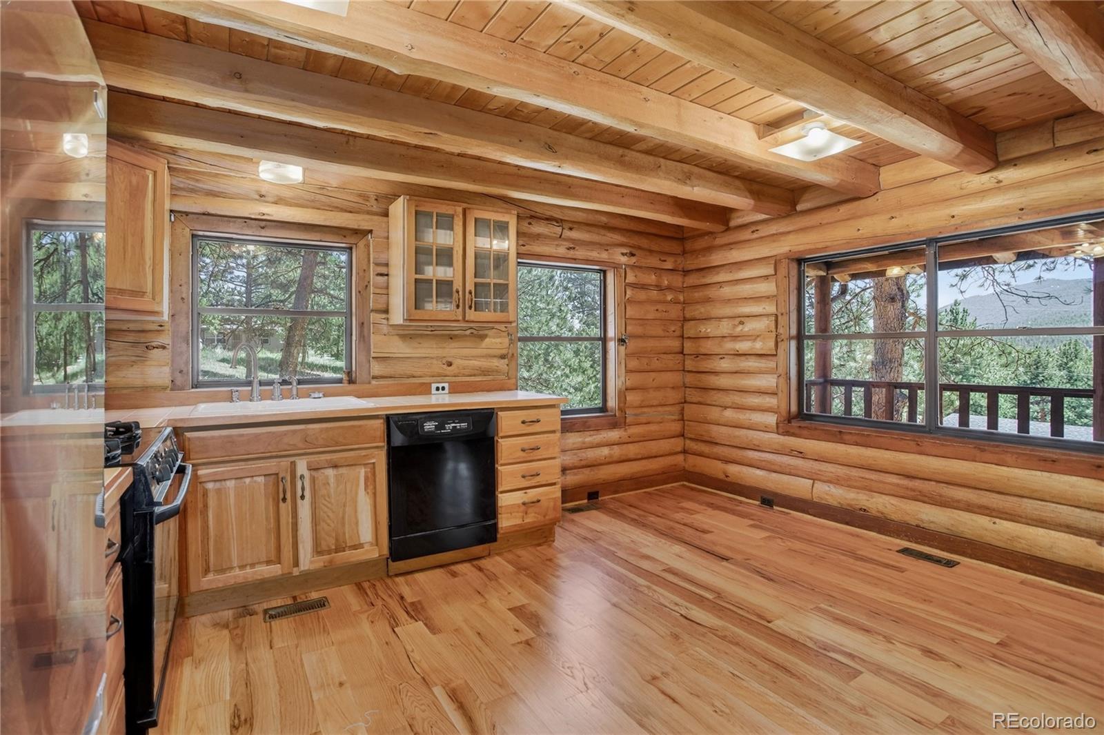 MLS Image #4 for 27723  pine valley drive,evergreen, Colorado
