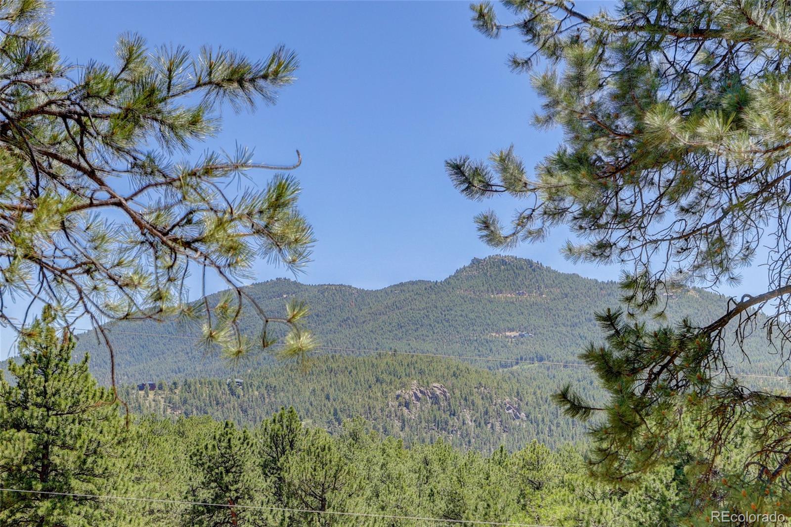 MLS Image #8 for 27723  pine valley drive,evergreen, Colorado