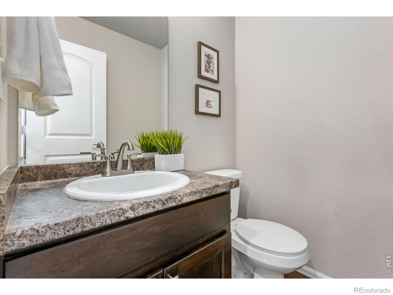 MLS Image #9 for 1631  country sun court,windsor, Colorado