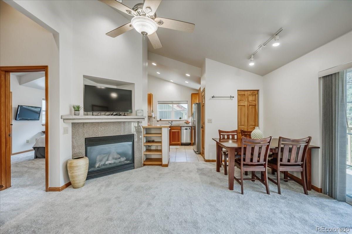 MLS Image #18 for 300  streamside lane,frisco, Colorado