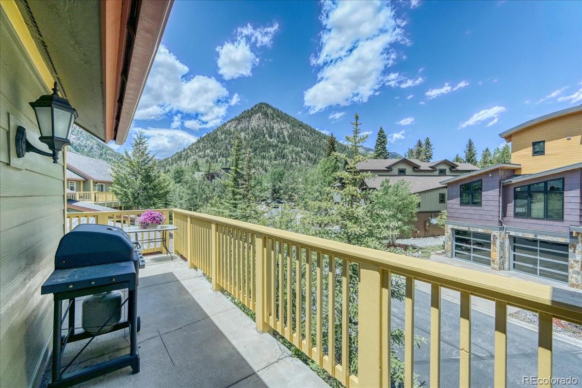 MLS Image #28 for 300  streamside lane,frisco, Colorado