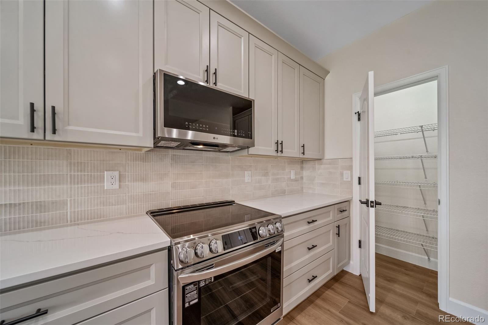 MLS Image #18 for 21097  hawthorne lane,parker, Colorado