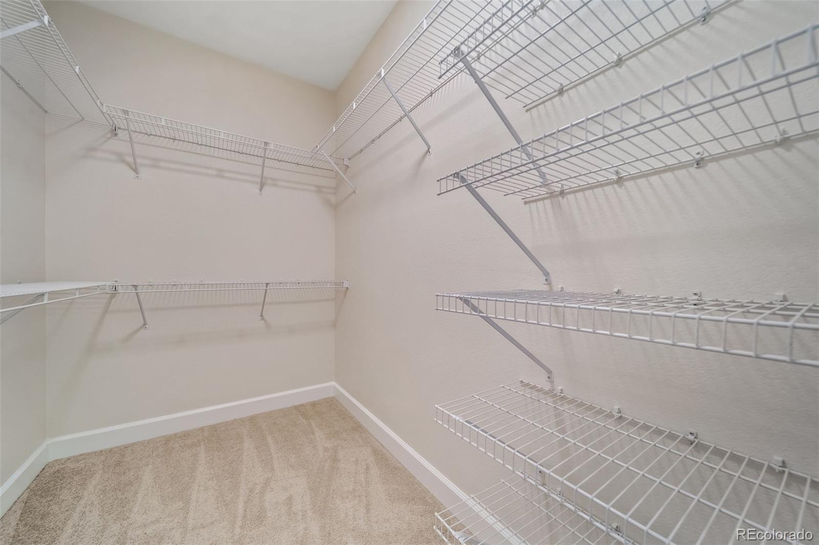 MLS Image #24 for 21097  hawthorne lane,parker, Colorado