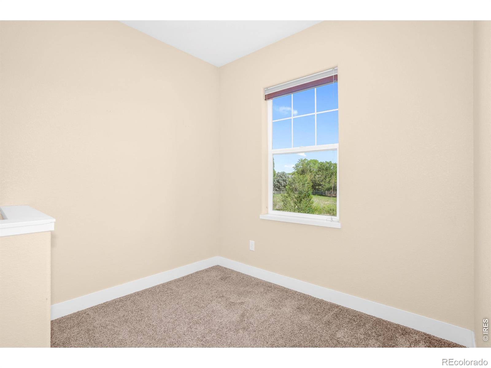 MLS Image #16 for 2933  kansas drive,fort collins, Colorado