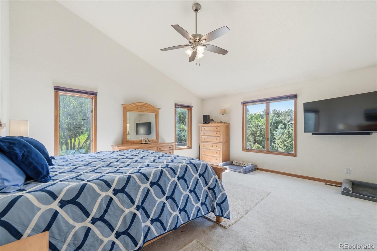 MLS Image #18 for 5919  irish pat murphy drive,parker, Colorado
