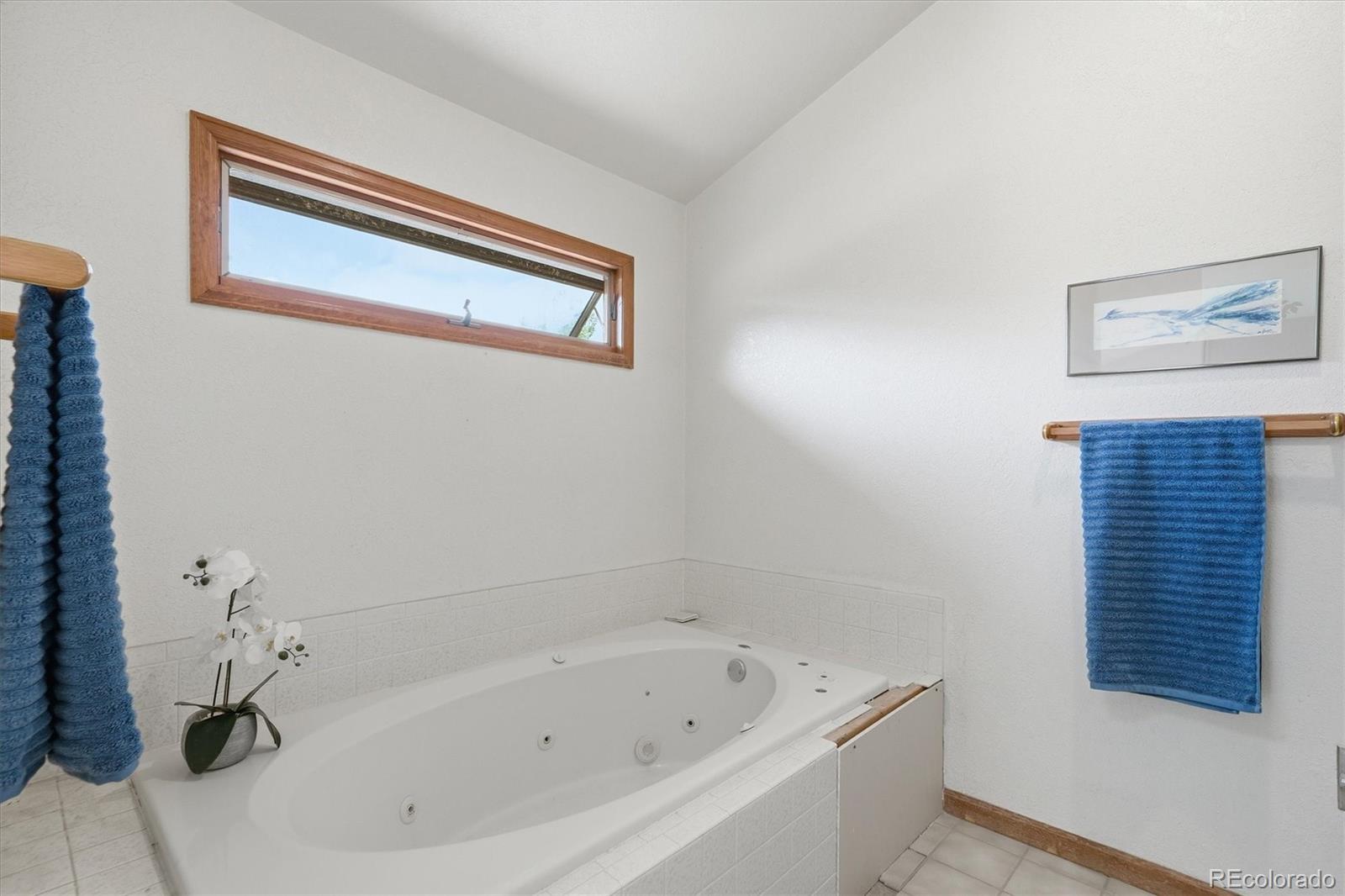 MLS Image #23 for 5919  irish pat murphy drive,parker, Colorado