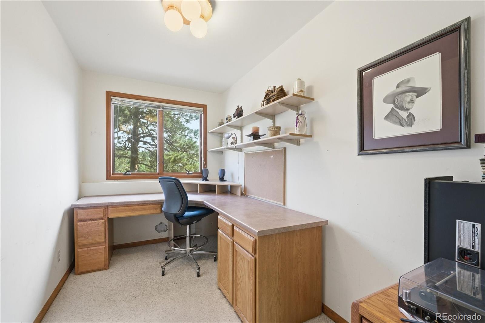 MLS Image #30 for 5919  irish pat murphy drive,parker, Colorado