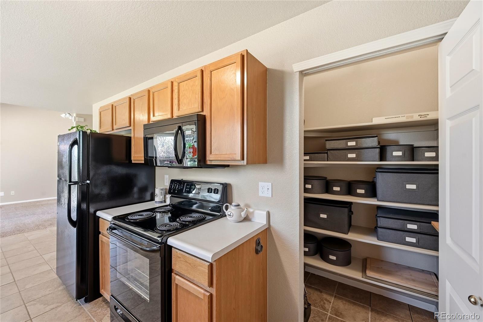 MLS Image #12 for 205  rushmore street,elizabeth, Colorado