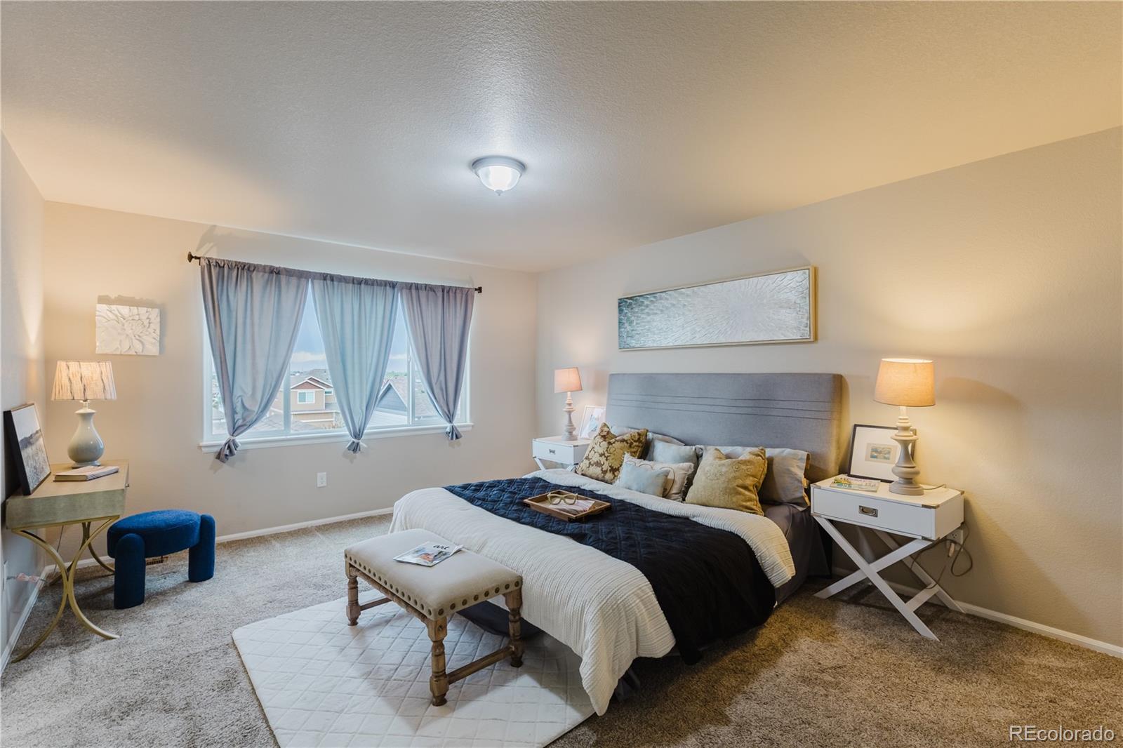 MLS Image #29 for 1019  mount oxford avenue,windsor, Colorado