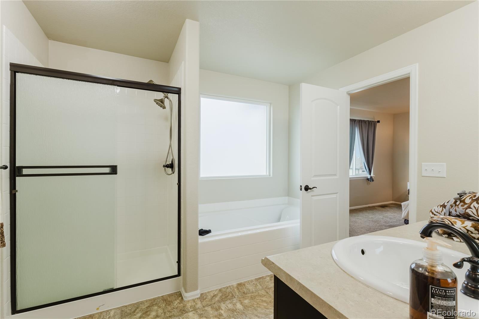 MLS Image #35 for 1019  mount oxford avenue,windsor, Colorado