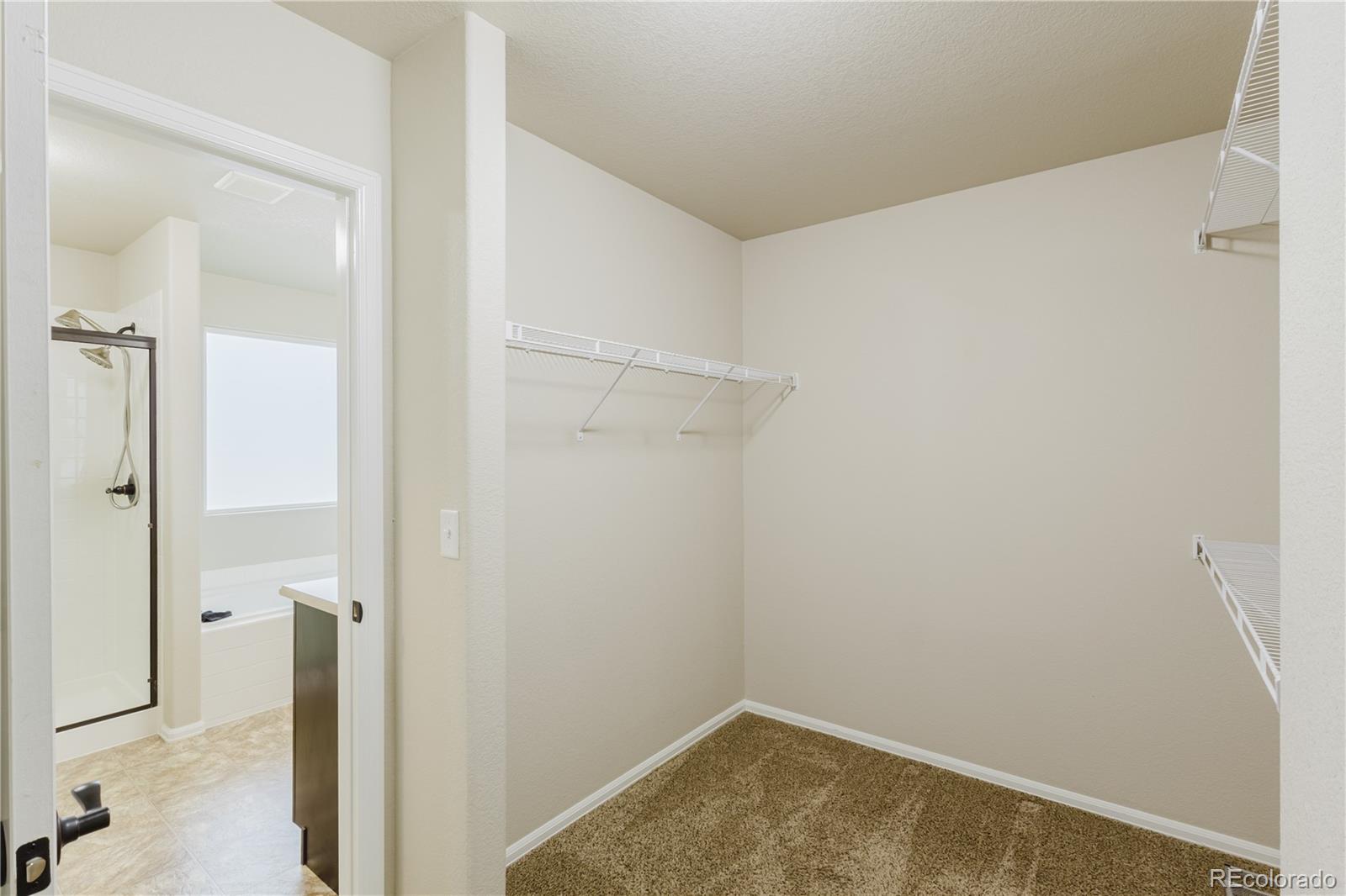 MLS Image #36 for 1019  mount oxford avenue,windsor, Colorado