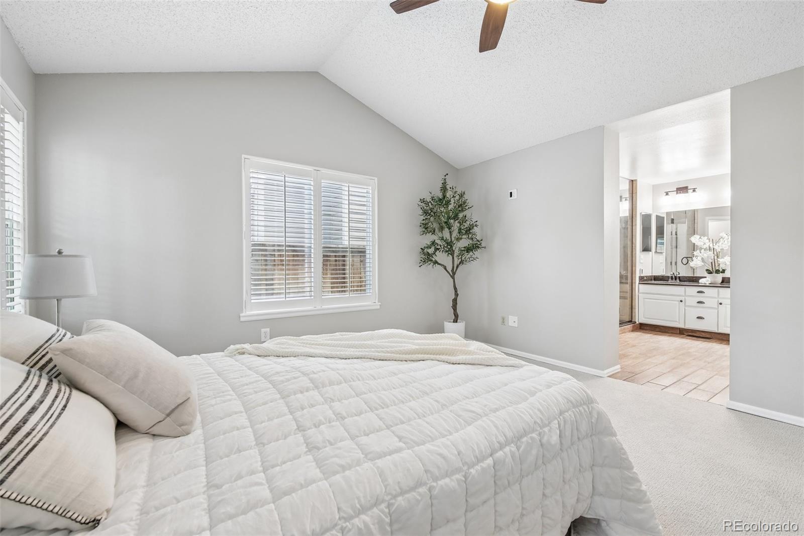 MLS Image #18 for 9805  foxhill circle,highlands ranch, Colorado