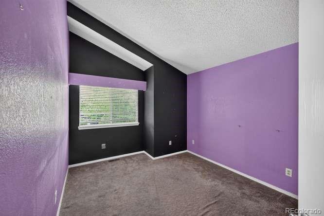 MLS Image #14 for 10728  kimball street,parker, Colorado